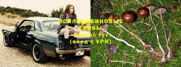 эйфоретик Новозыбков