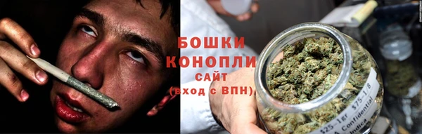 эйфоретик Новозыбков