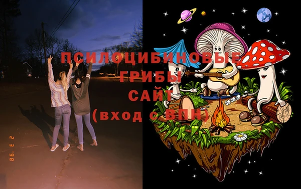 эйфоретик Новозыбков